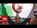 New video by BBC News on YouTube