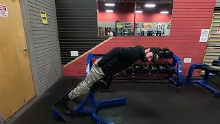 Icarian Lower Back Extension