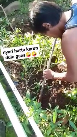 nyari harta karun