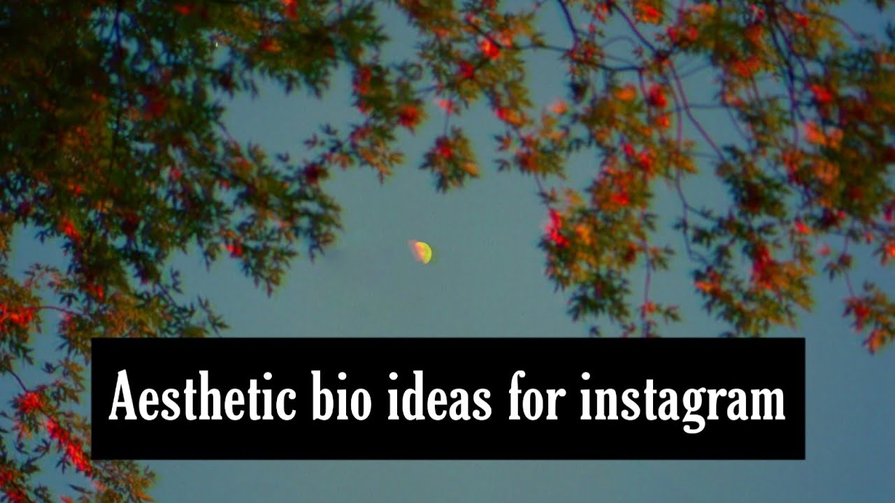 Aesthetic Bio ideas for Instagram