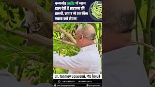 कमजोर शरीर में जान डाल देती है सहजन की सब्जी, सप्ताह में एक दिन जरूर करें सेवन! #DrTanmayGoswami