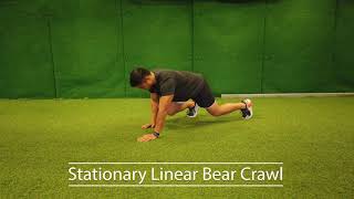 Stationary Linear Bear Crawl