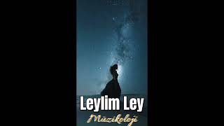 LEYLİM LEY | İngiLiz'ce,Fransız'ca,Arap'ça,Türk'çe..4 Ayrı DiLde (Cover)