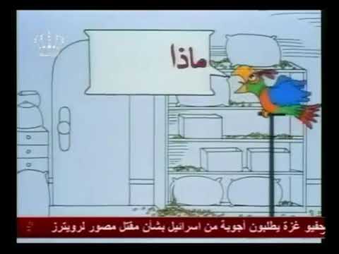 المناهل الببغاء ماذا تريد 