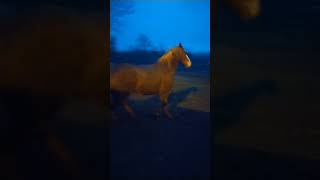 I Didnt Know He Could Turn Like That