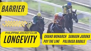 LONGEVITY / GRAND MONARCH / SAMAON JUDOKA / PAY THE LINE / PALIBASA BABALE #horse #horseracing #pjc