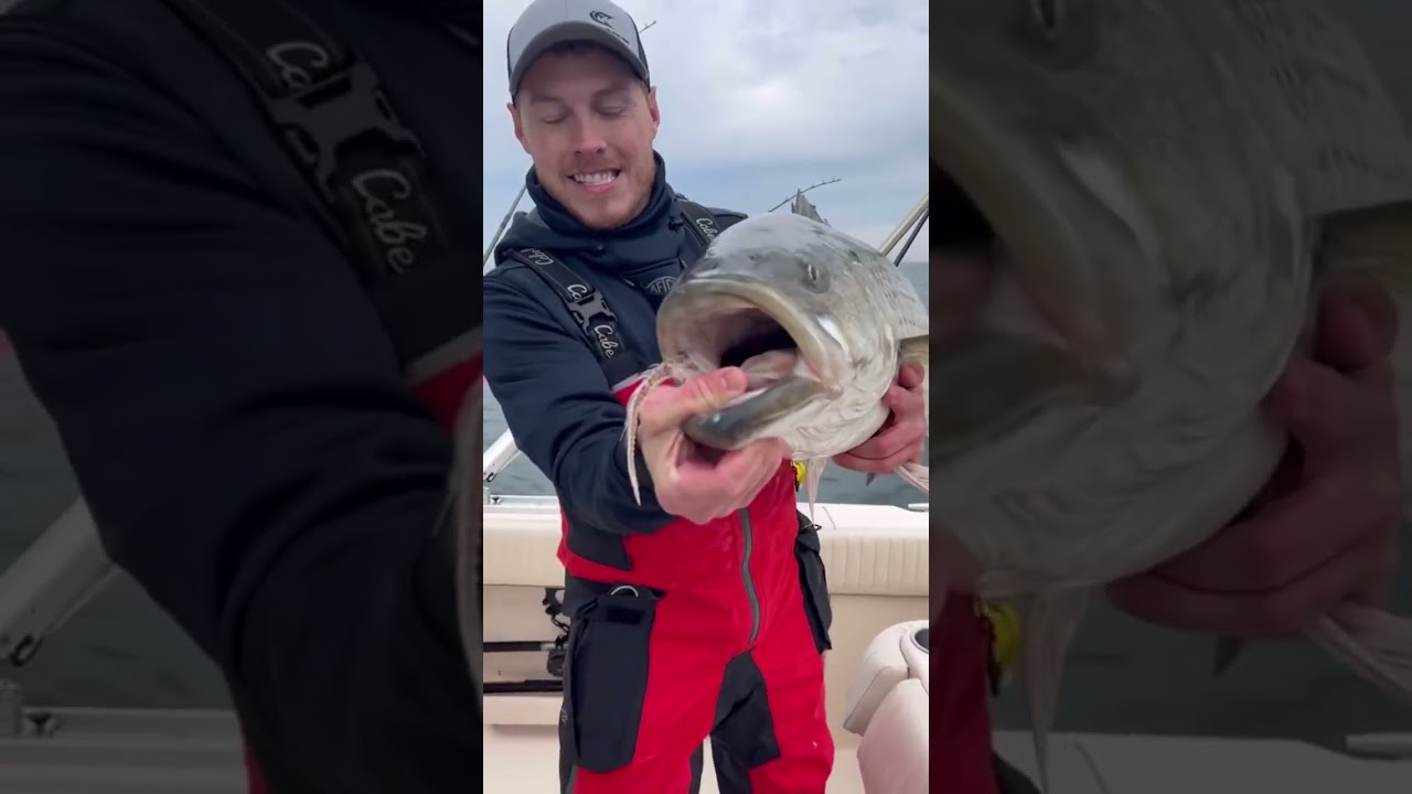 Striper stealth rods 🔥❗️