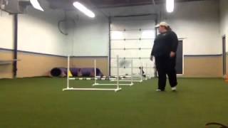 Sting compression grid 2