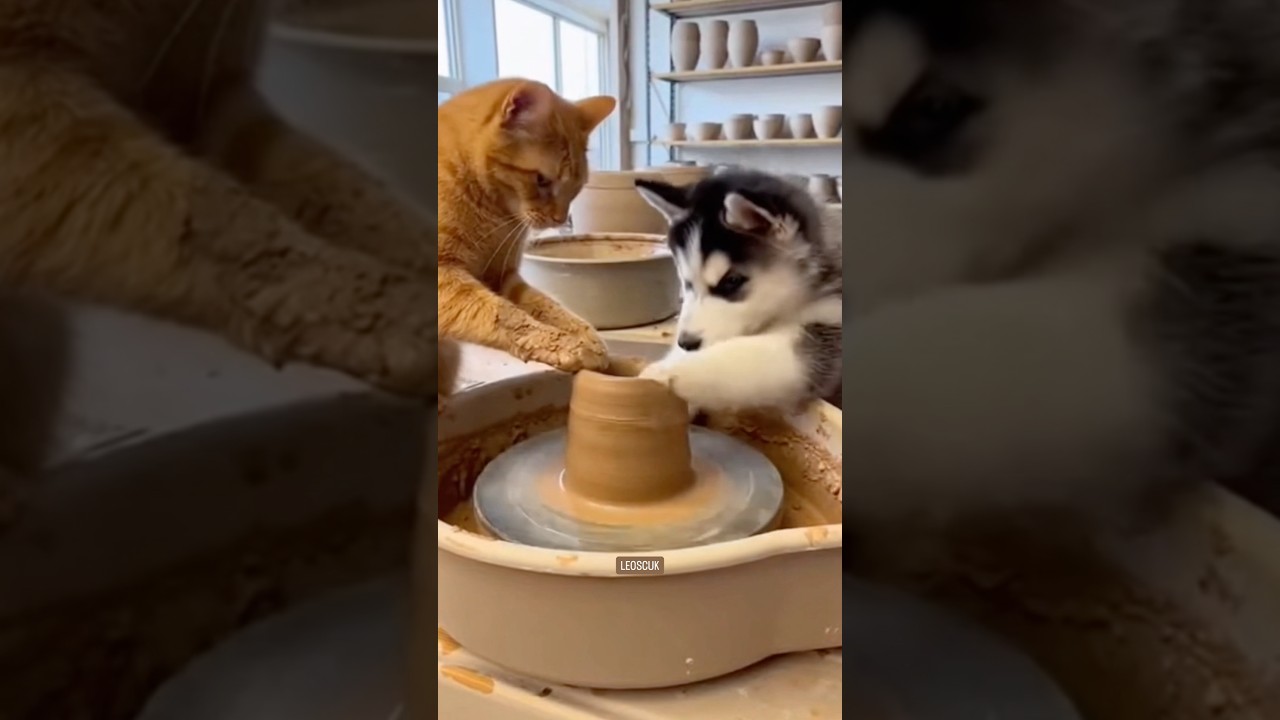 This Was Supposed to Be Art