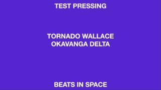 Tornado Wallace Okavanga Delta (Beats In Space)