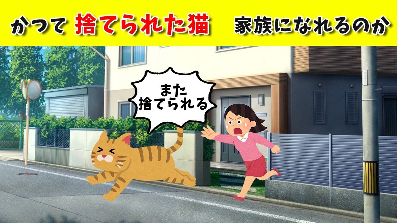 梅の咲く日の誓い　#猫のいる暮らし #保護猫 #猫と赤ちゃん