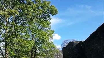 Gravity 250 slomo L O S