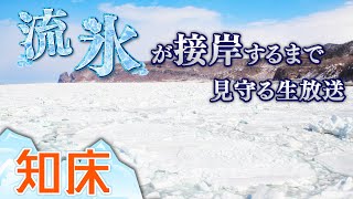 【LIVE】流氷の上を歩く「流氷ウォーク」を知床で体験