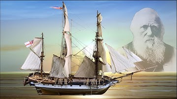 Building Beagle Occre - Build Diary in 3 minutes