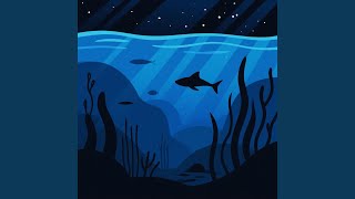 Oceans After Midnight