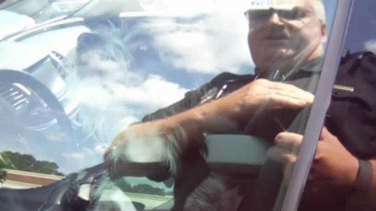 Officers rescue dogs from heat stroke in 167-degree car - YouTube