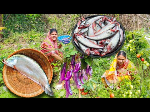 বাগানের কচি বেগুন সঙ্গে কাঁচা টমেটো দিয়ে দু'রকম মাছের রান্না করলাম,মা-বাবাকে দারুন খুশি।Fish curry 