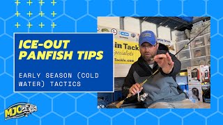 Ice-Out Panfish Tips - Early Season Open Water Tactics