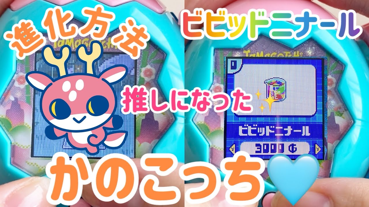 【攻略#4】理想のかのこっちにしたい！！かのこっち進化方法|森フィールド【たまごっちパラダイス】