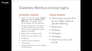 Endocrine Diseases within Animal Species