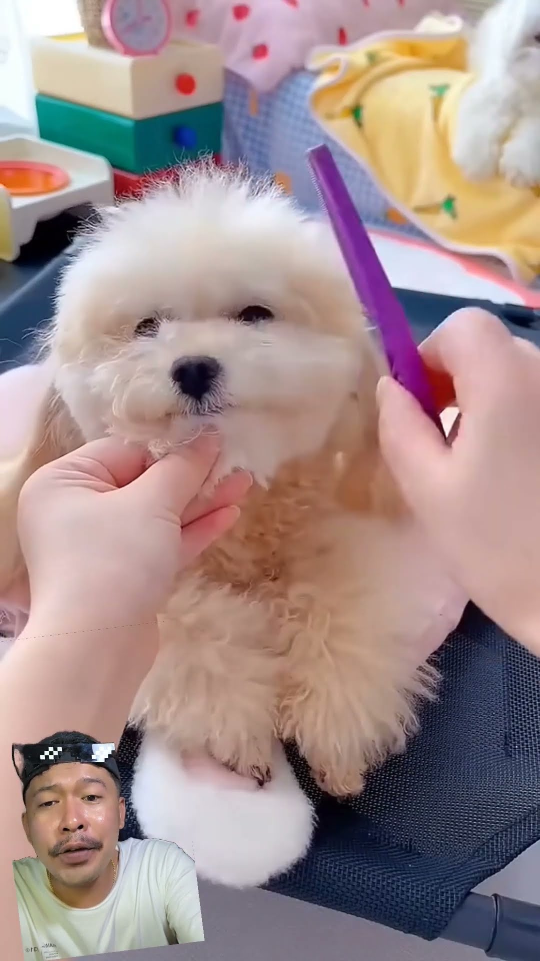 Make up-in si doggy biar cantik ? #reels #dubbing #funny