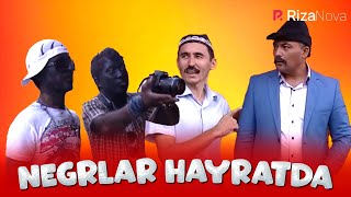 Sho'rdanak - Negrlar Hayratda