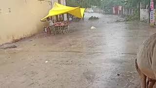 गंगापुर सिटी  मे भीषण गर्मी से बेहाल लोगो क़े लिए बारिश शुरुआत
