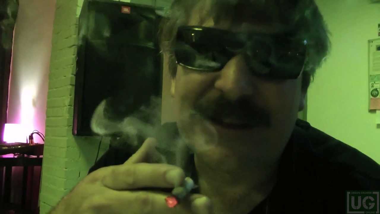 Spannabis 2012 Cannabis Club
