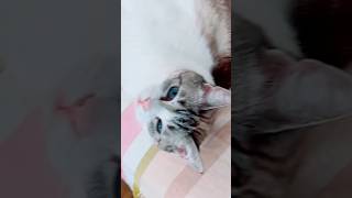 Anabelita making an appearance! #throwback