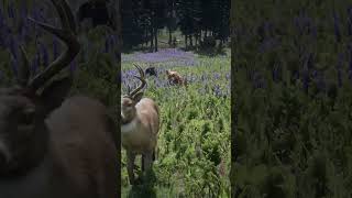 Simulate The Amazing Survival Skills Of Legendary Hunters 1248 ,