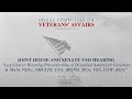 Joint House and Senate VSO Hearing