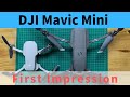 DJI Mavic Mini 開封から初フライトまで ｜中国 249g版