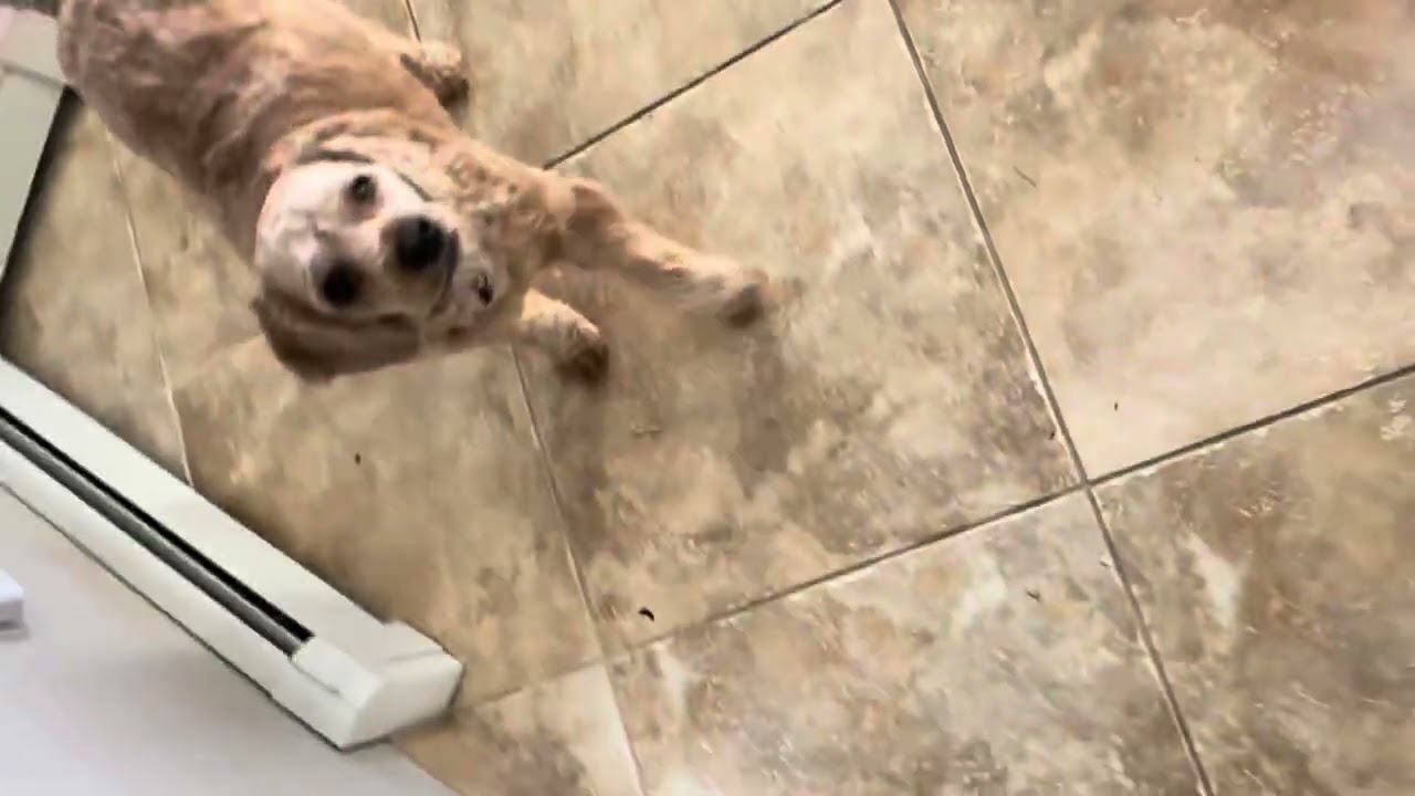 Holding my cell phone in my hand