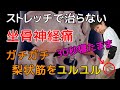 【30秒!坐骨神経痛の治し方】ストレッチより効く!寝ながら梨状筋を緩めて改善!【梨状筋症候群】