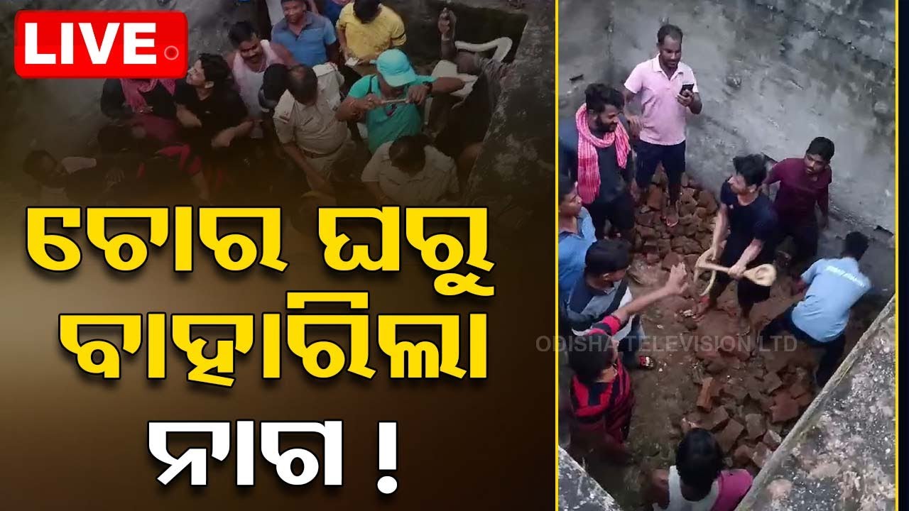 ????LIVE | ଚୋର ଘର ମାଟିତଳେ ନାଗ! | Jagatsinghpur | Odisha TV