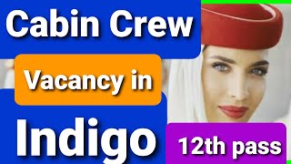 indigo cabin crew  vacancy 2020 | cabin crew vacancy in indigo airline | indigo airline vacancy 2020