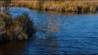 Mackay Island National Wildlife Refuge | Wikipedia audio article