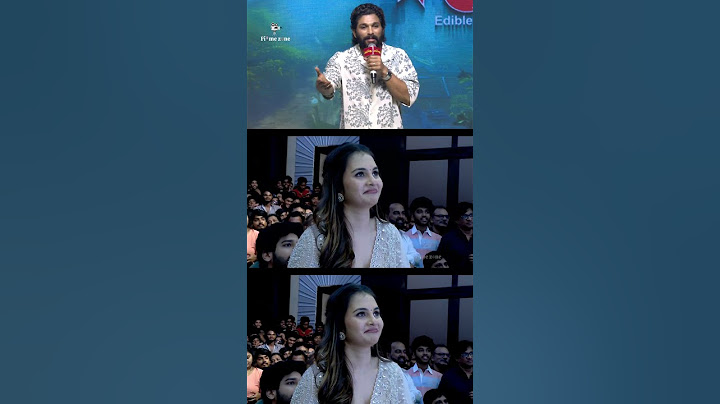 Bunny powerfull speech at Maruthi Nagar subramanyam pre release event || Filmee zone