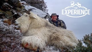 "The Billy Named Nanny" - 4K VIDEO