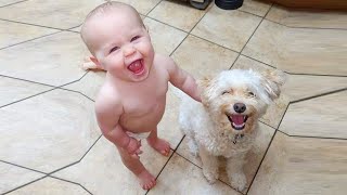 Funny Babies Dancing Hysterically With Dogs ★ Cute Baby And Dog Videos