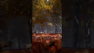 Fall Forest UE5.6 Daily Render