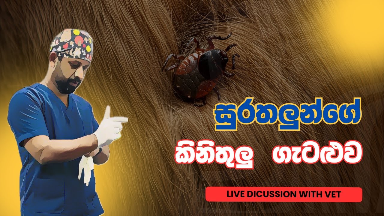 Why Your Tick Strategy is Failing (And How to Fix It)