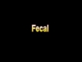 What Is The Definition Of Fecal - Medical Dictionary Free Online