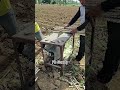 Sawing cassava stems with a circular saw