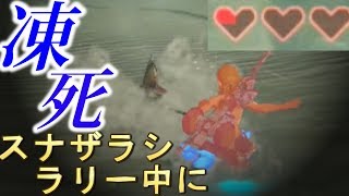 スナザラシラリー中に凍死したらどうなるの？(凍死できるのか)【ゼルダの伝説ブレスオブザワイルド】検証　実況