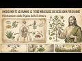 Ogni seme sacro nella Bibbia che guarisce realmente spiegato