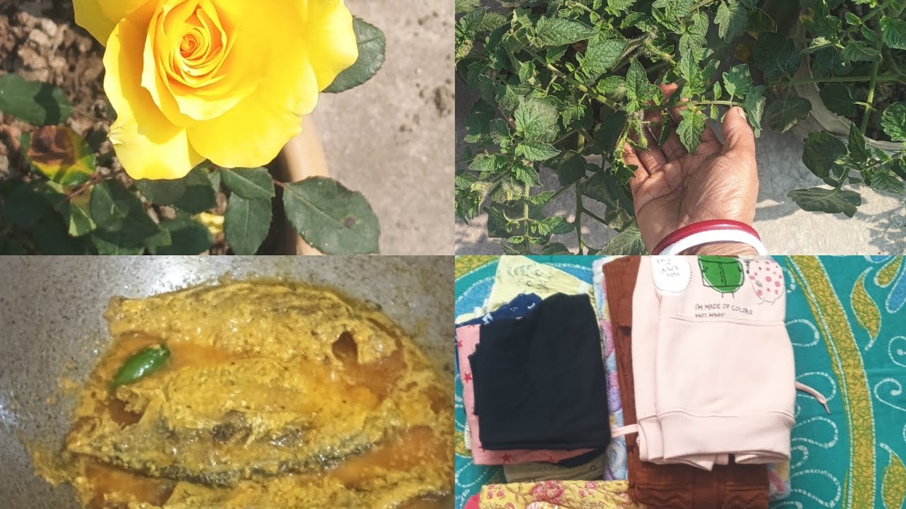 প্রত্যেক দিন এত কাজের মধ্যে আমি যেন হাপিয়ে উঠি। 