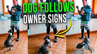 Obedient Dog Follows Owner Hand Signs to Get the Bone It Loves