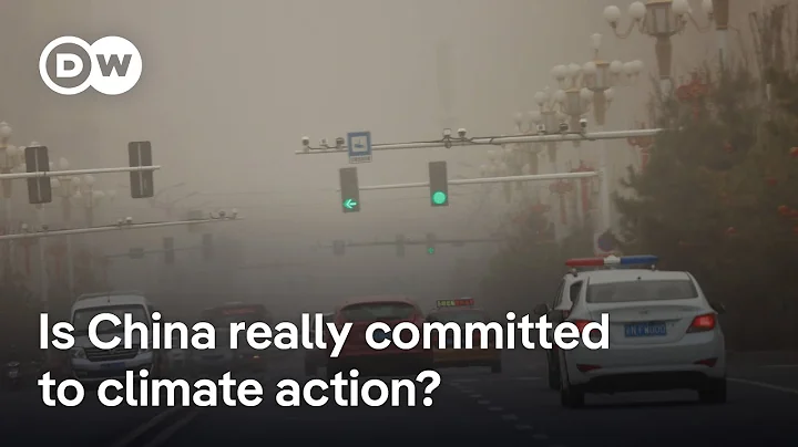 How China has taken the world's attention off the US at COP30 | DW News