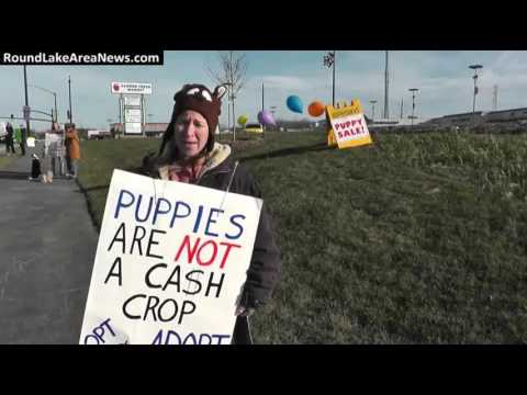 petland protest
